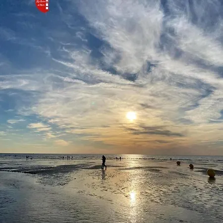 Le Marine