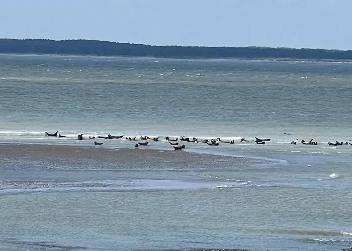 Le Clos D'illies Mers-les-Bains