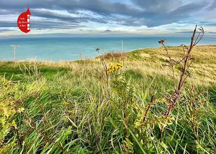 Le Clos D'illies Daire *